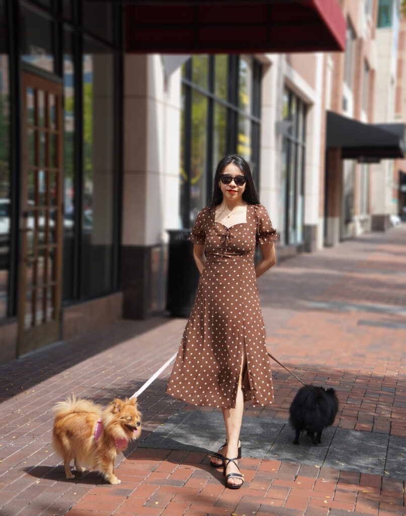 Vivian Tang, asian girl, wears a brown polka dot dress with her two pomeranians mimi momo in Sugar Land, Texas