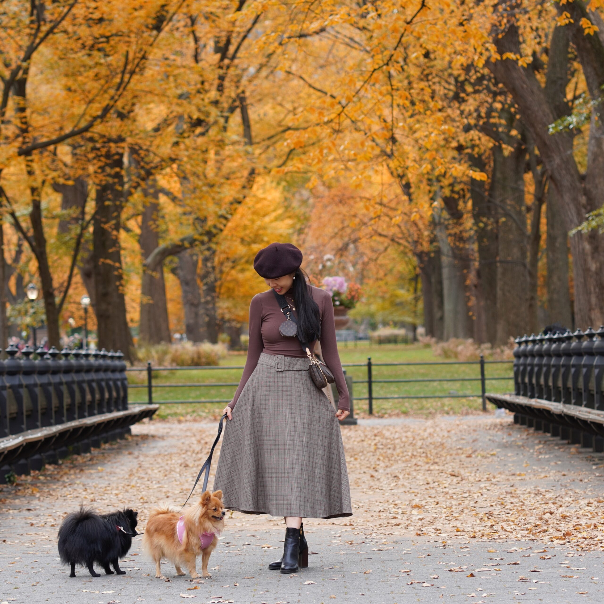 Vivian R Tang poses in dark academia preppy Tommy Hilfiger, Ralph Lauren plaid skirt / fashion in Central Park New York City NYC with her pomeranians against a fall setting