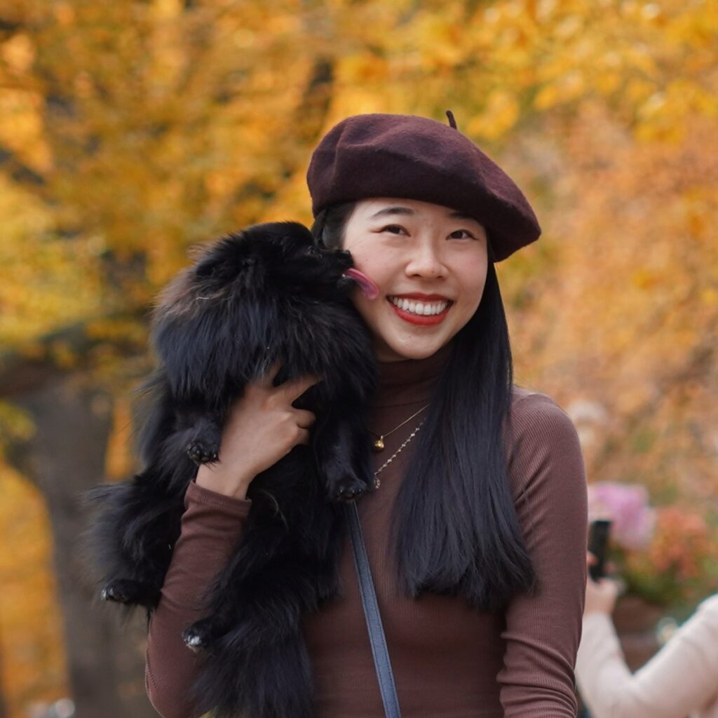 black pomeranian kiss vivian - nyc pomeranians