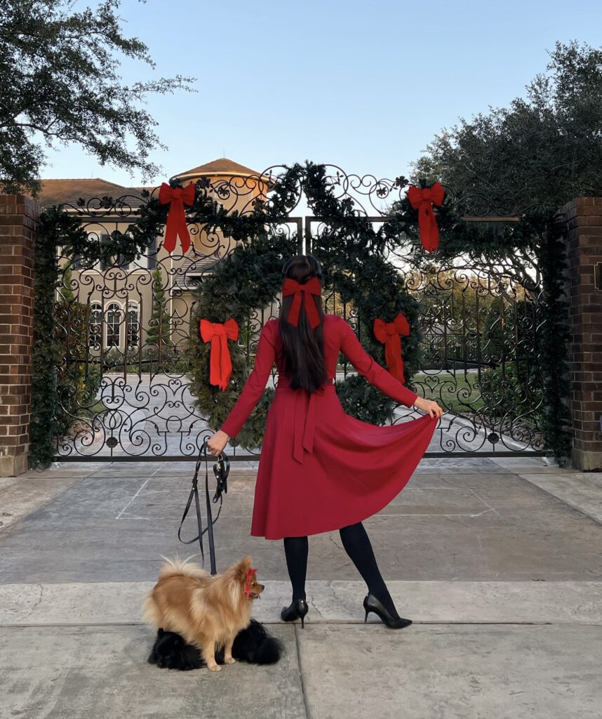 Holiday Christmas bows, red dress, pomeranian