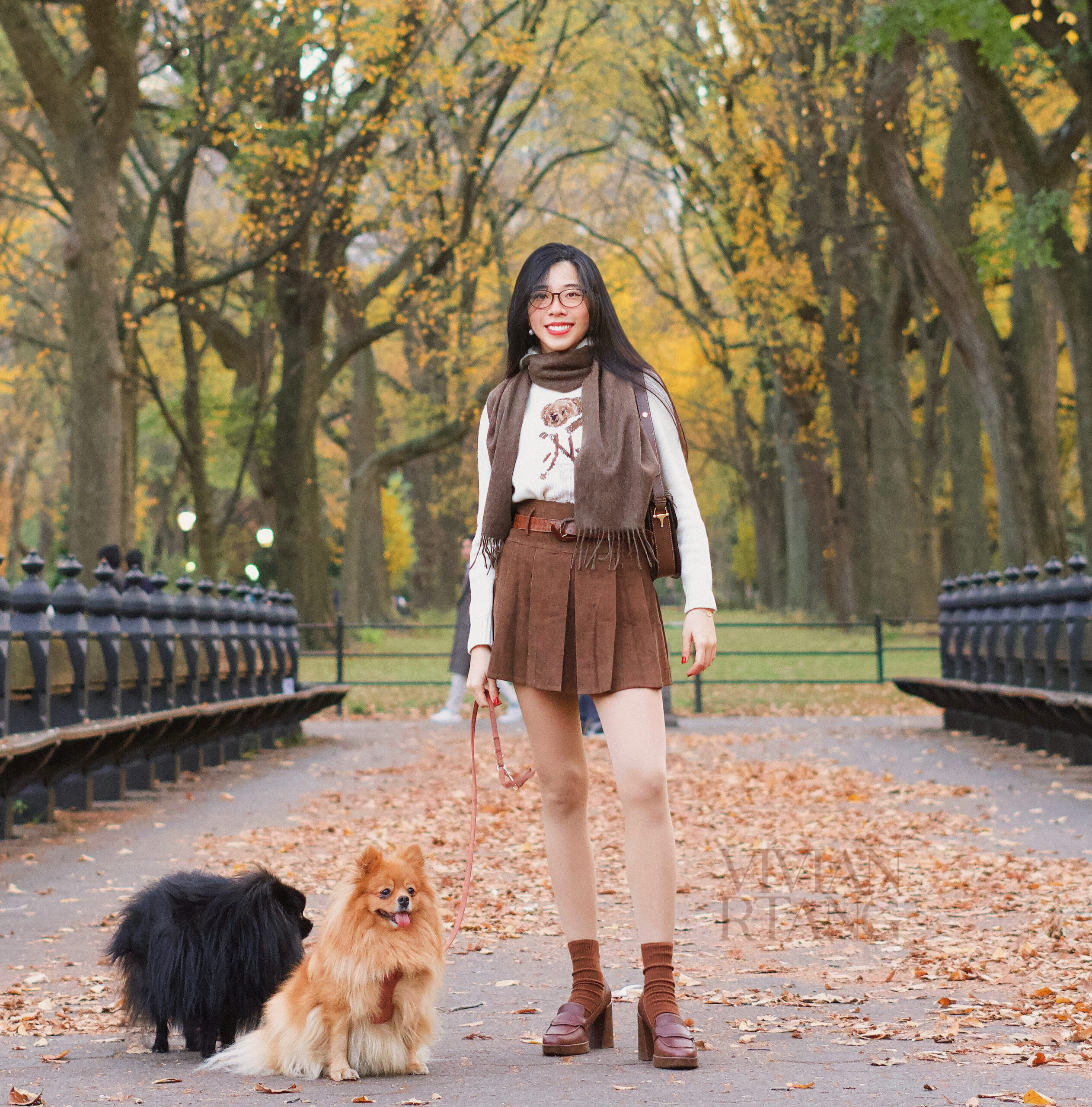 Young Lady wearing cute academia preppy clothes, polo ralph lauren bear sweater, Pomeranian dogs