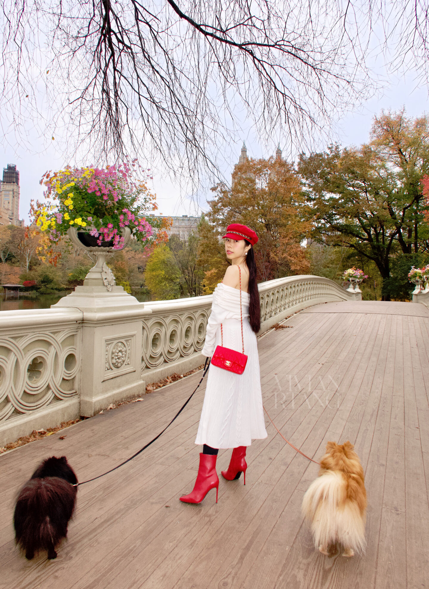 Bow Bridge girl fashion aesthetic new york city photoshoot photography ideas