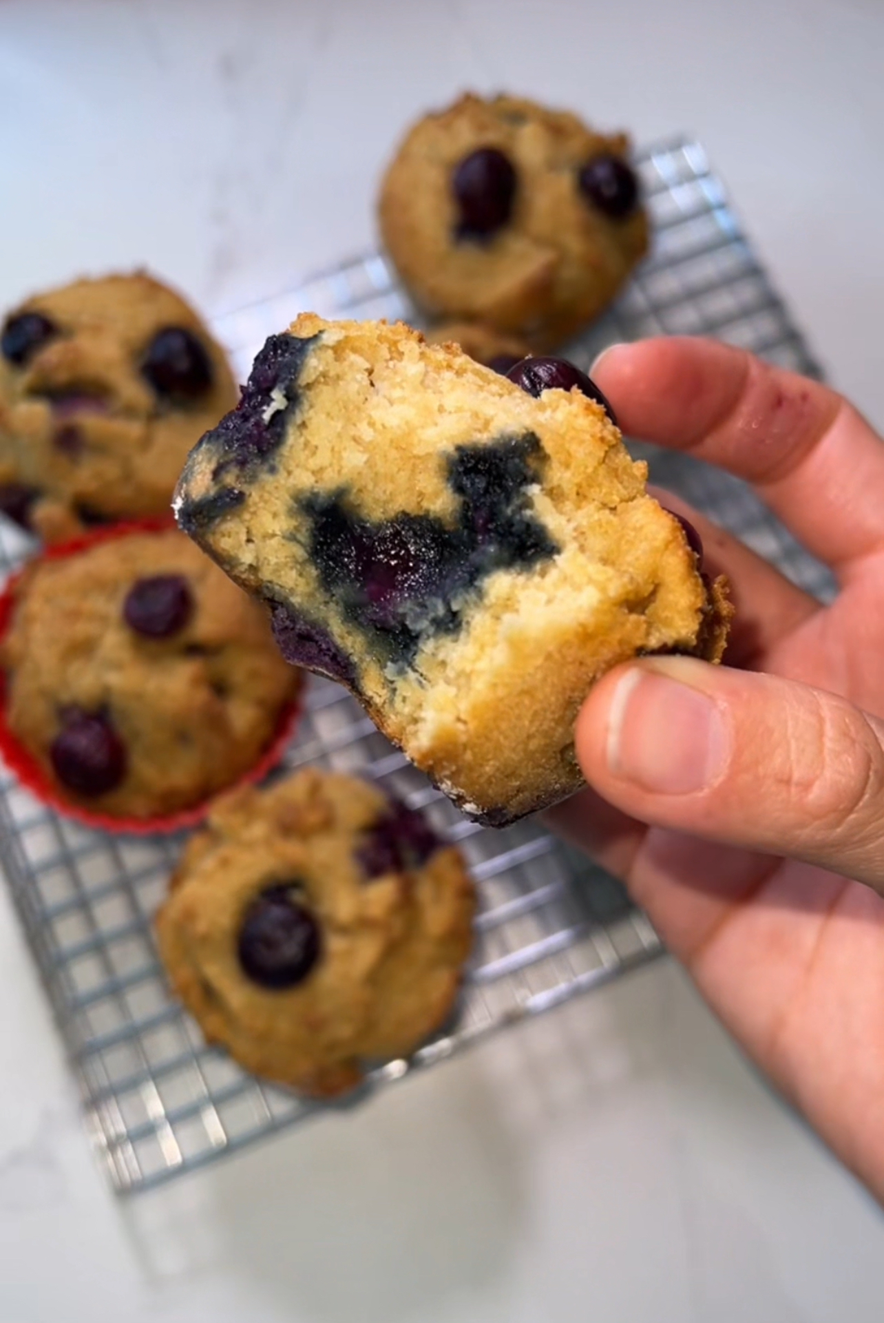 blueberry okara muffins