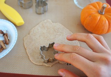 cute whole grain pie crust leaves